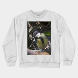 LE PANASONIC FZ 200 PAR OKAIO CRÉATION Crewneck Sweatshirt